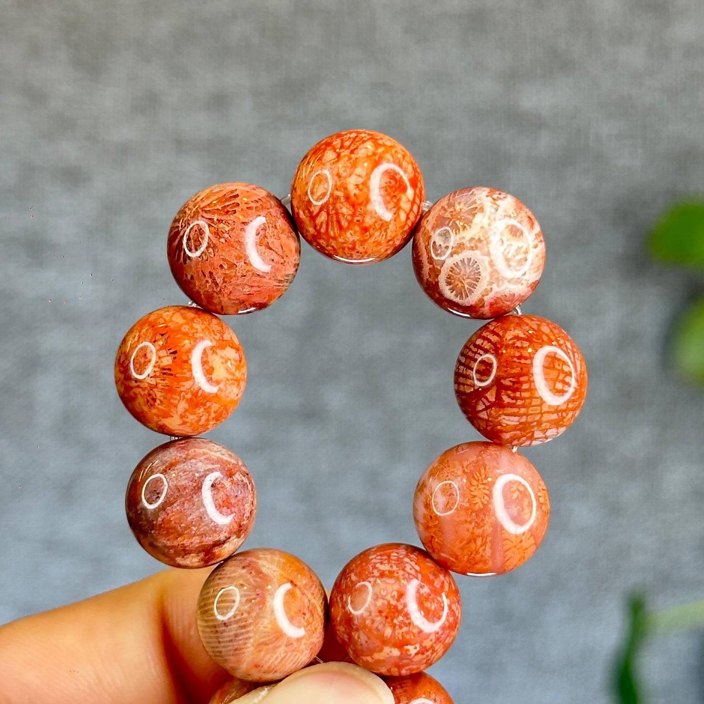 Natural Coral Fossil Bracelet Size 12.8 mm