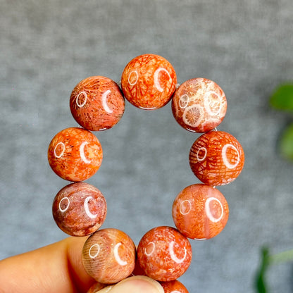 Natural Coral Fossil Bracelet Size 12.8 mm
