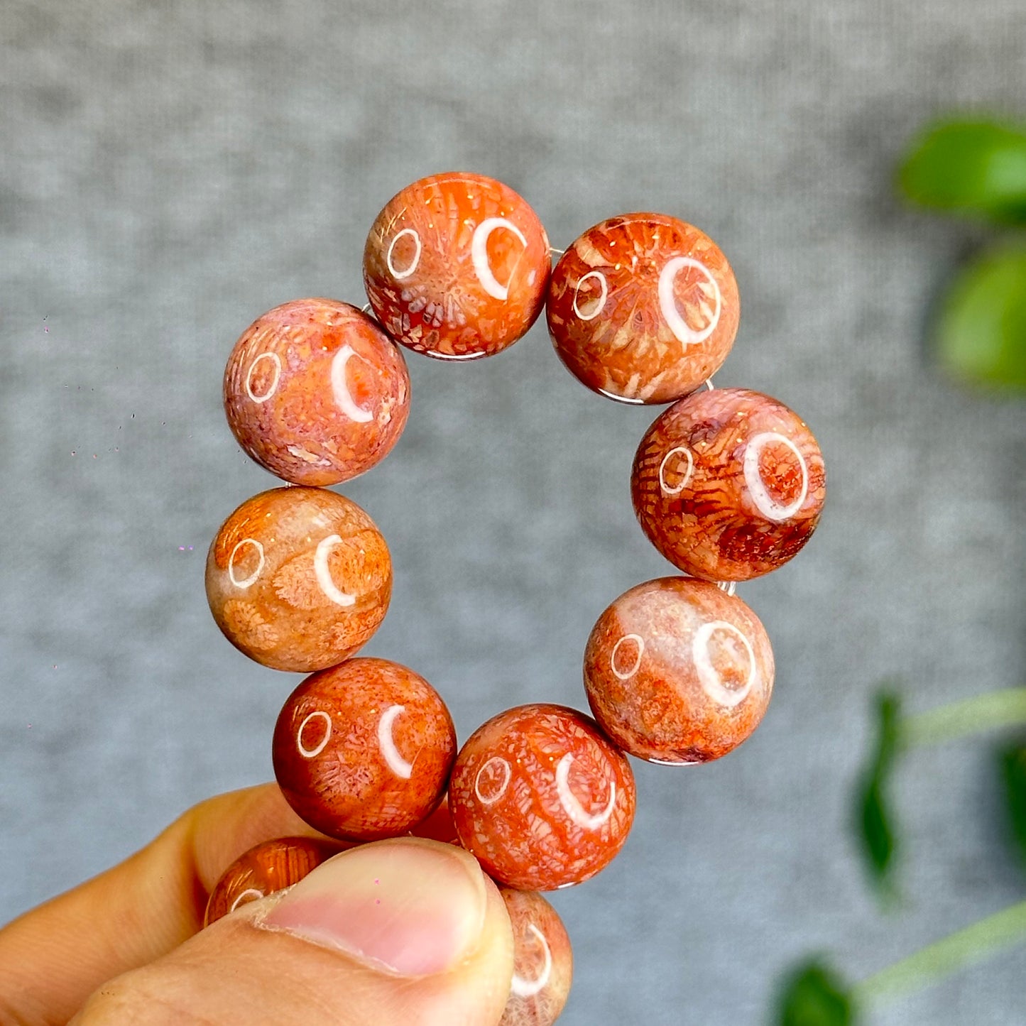 Natural Coral Fossil Bracelet Size 12.8 mm