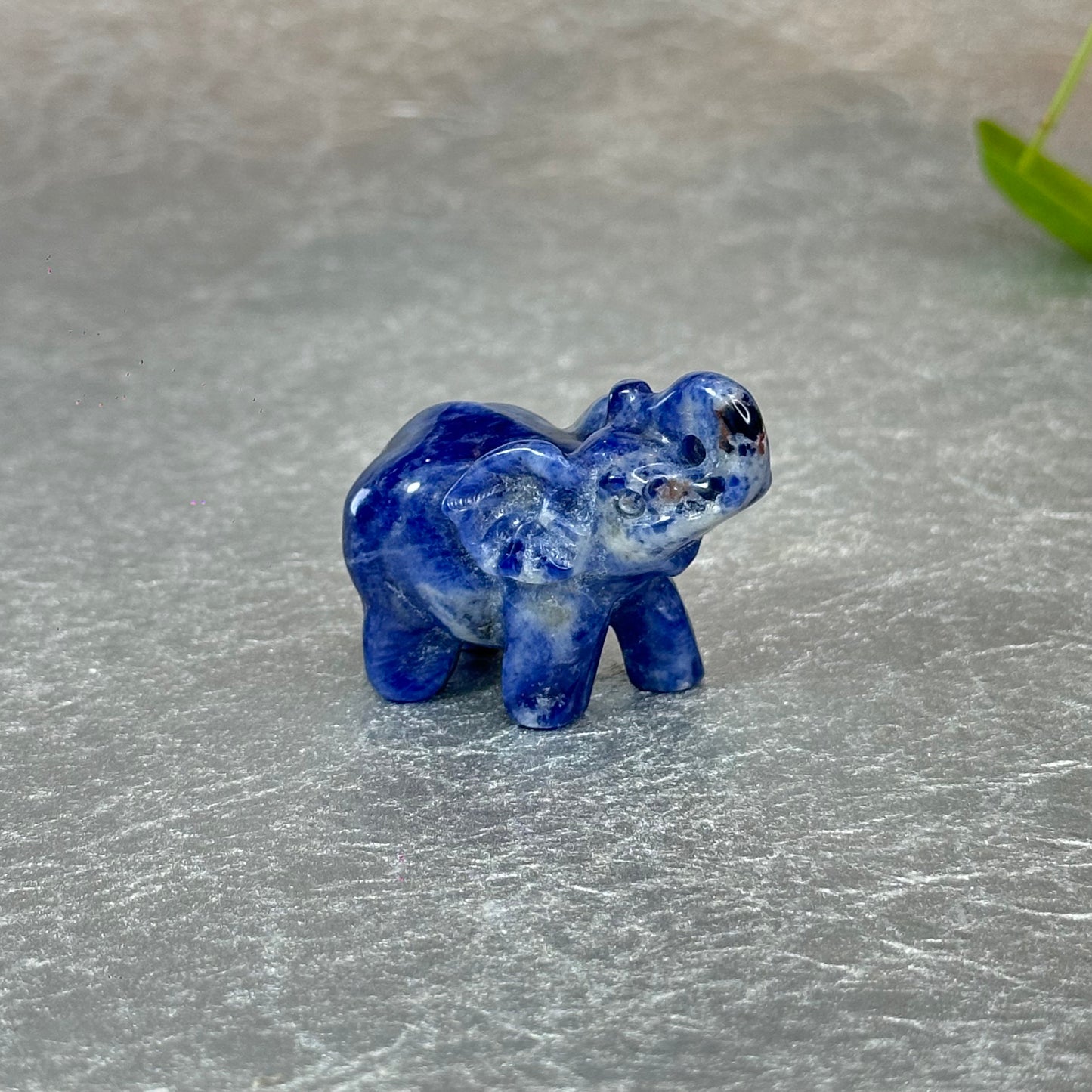 Natural Sodalite Elephant Figurine