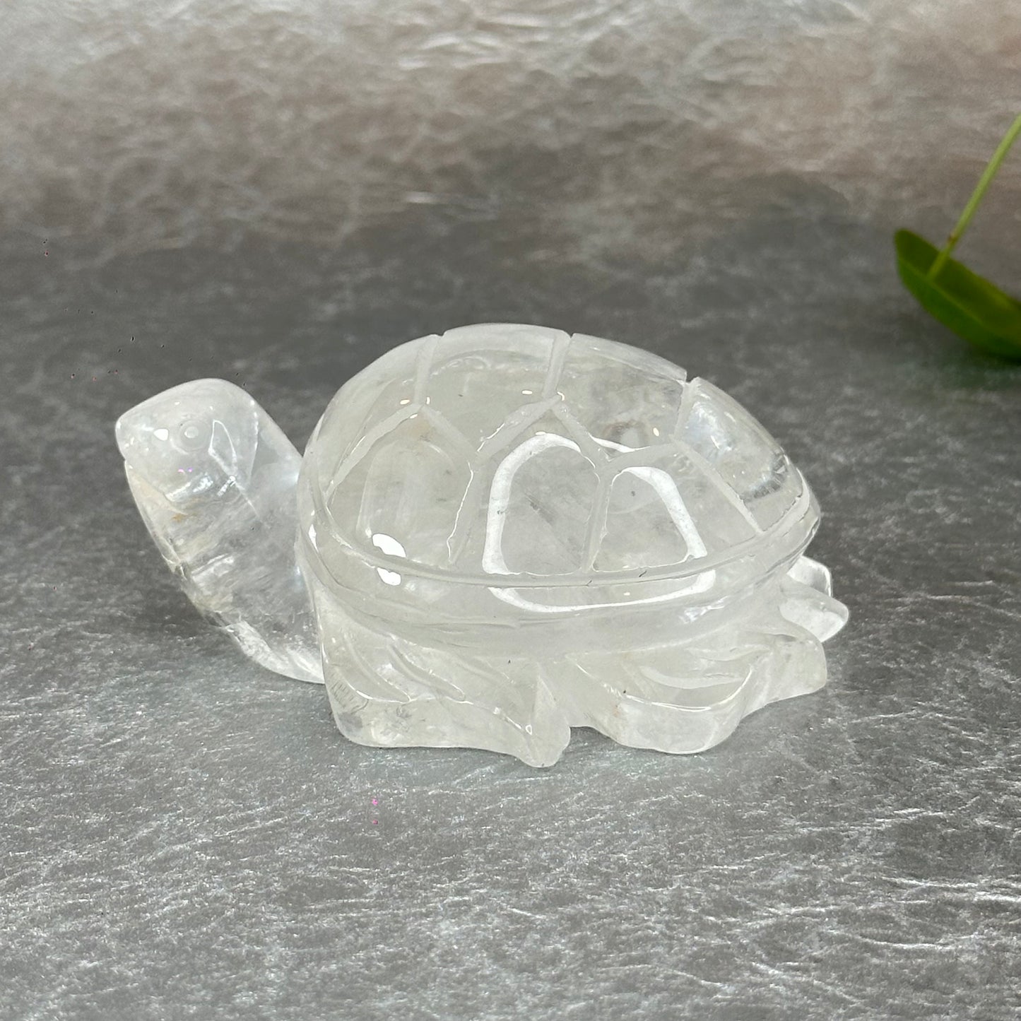 Natural Clear Quartz Turtle