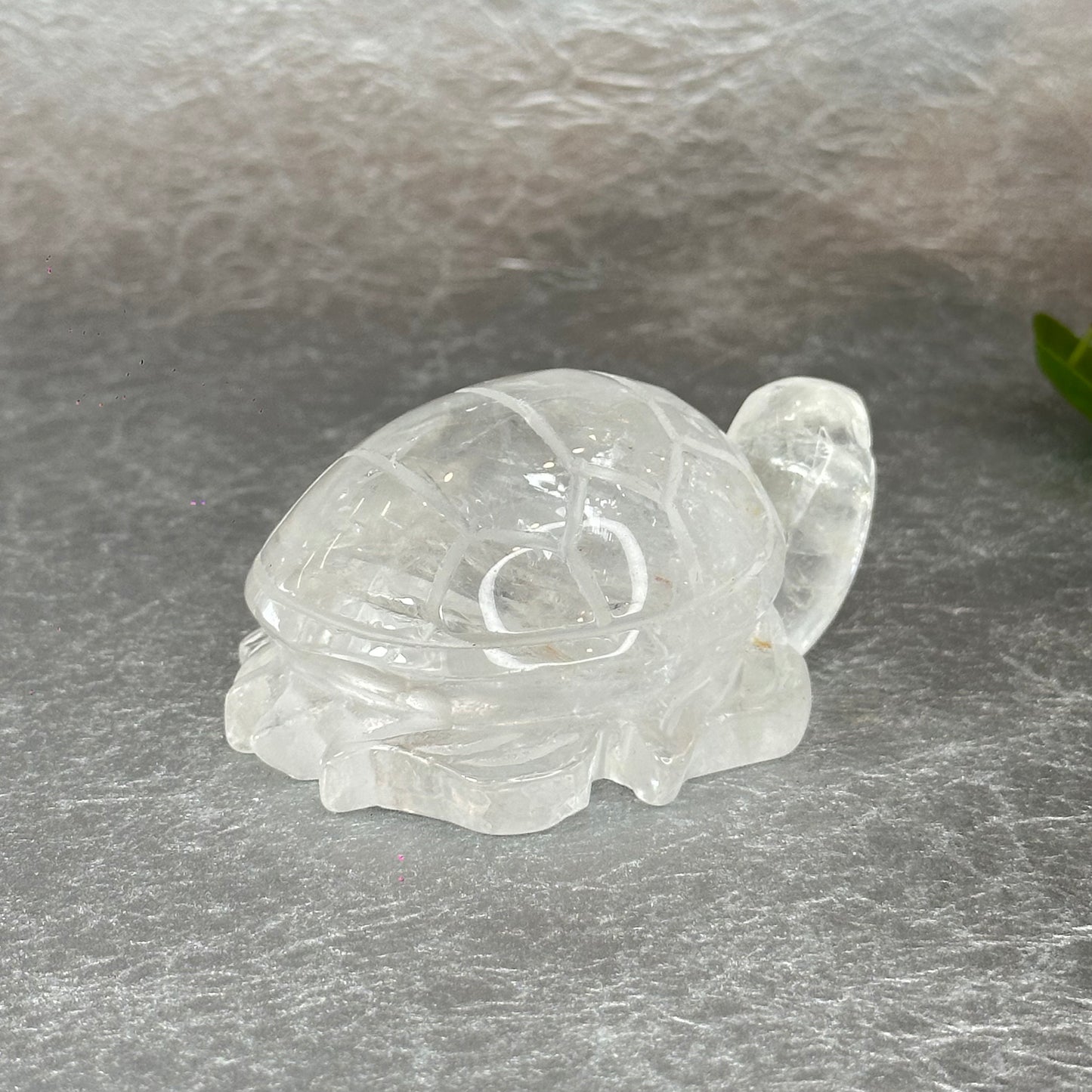 Natural Clear Quartz Turtle