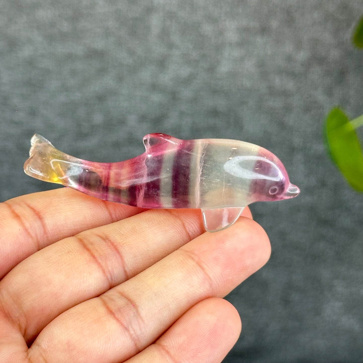 Natural Fluorite Dolphin Figurine