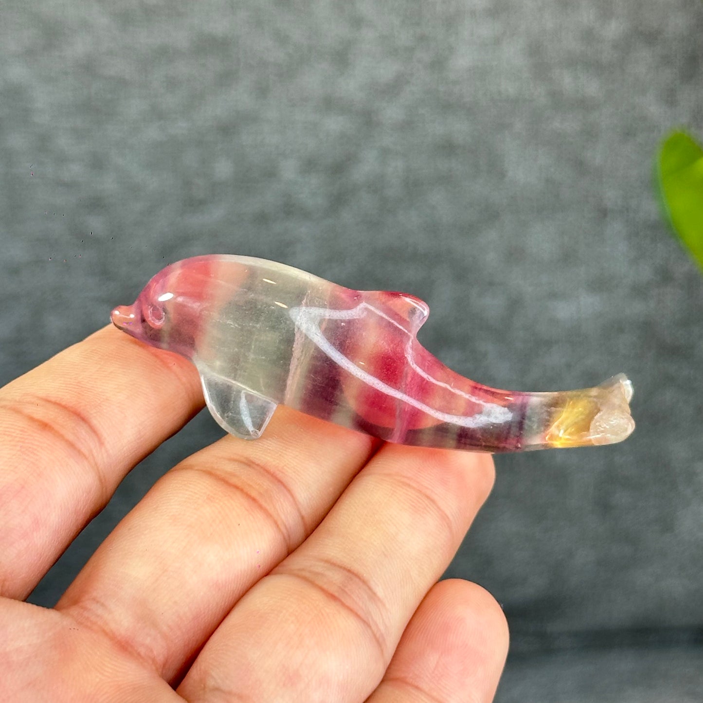 Natural Fluorite Dolphin Figurine