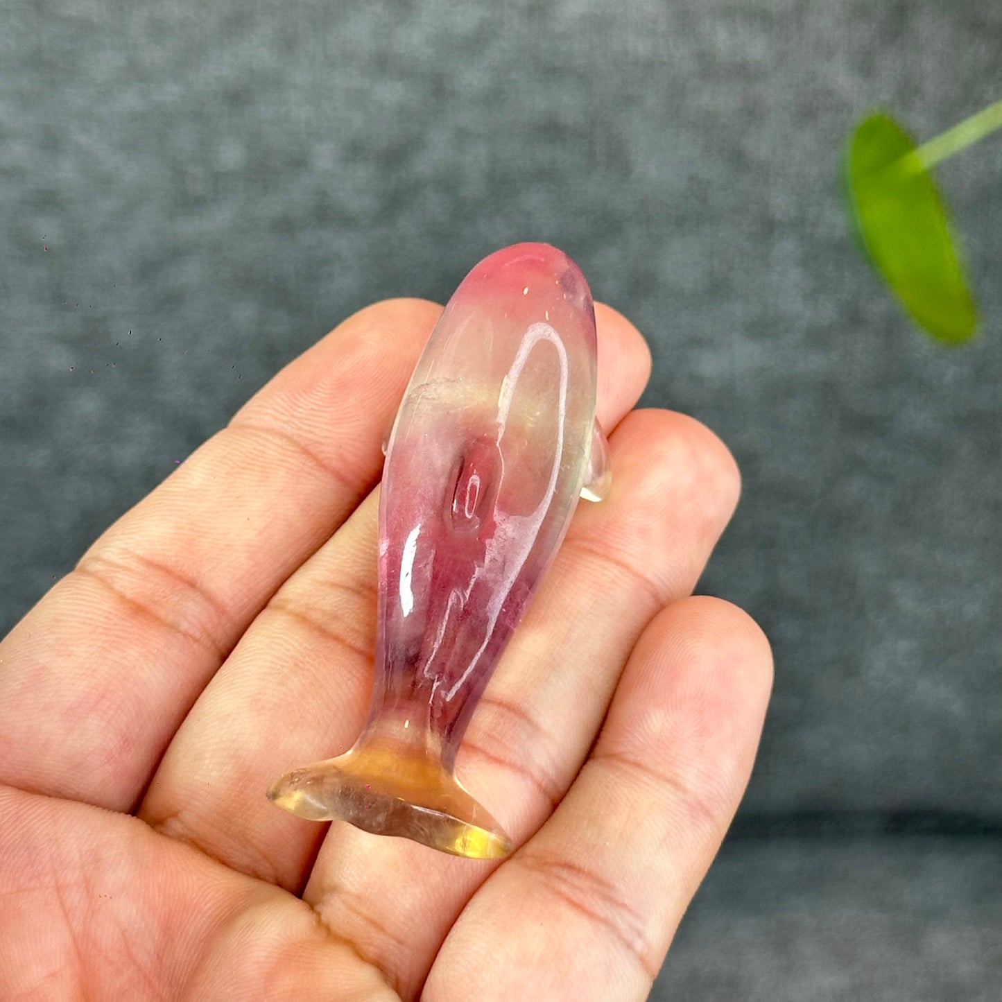 Natural Fluorite Dolphin Figurine