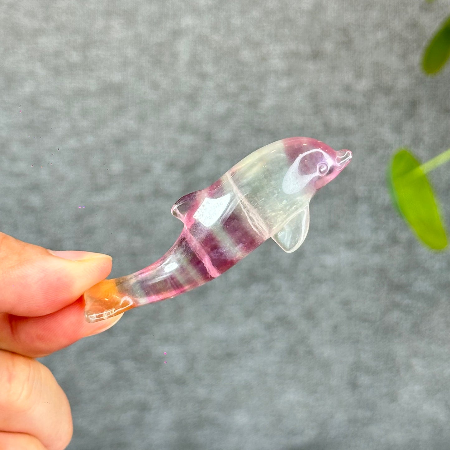 Natural Fluorite Dolphin Figurine