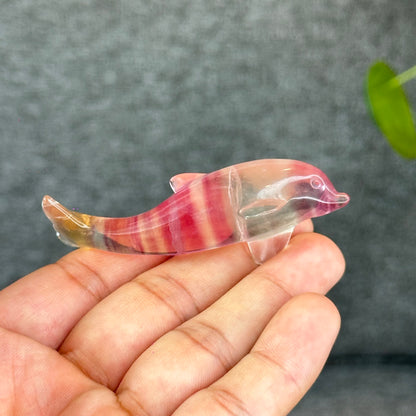 Natural Fluorite Dolphin Figurine