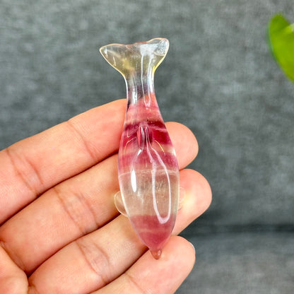 Natural Fluorite Dolphin Figurine