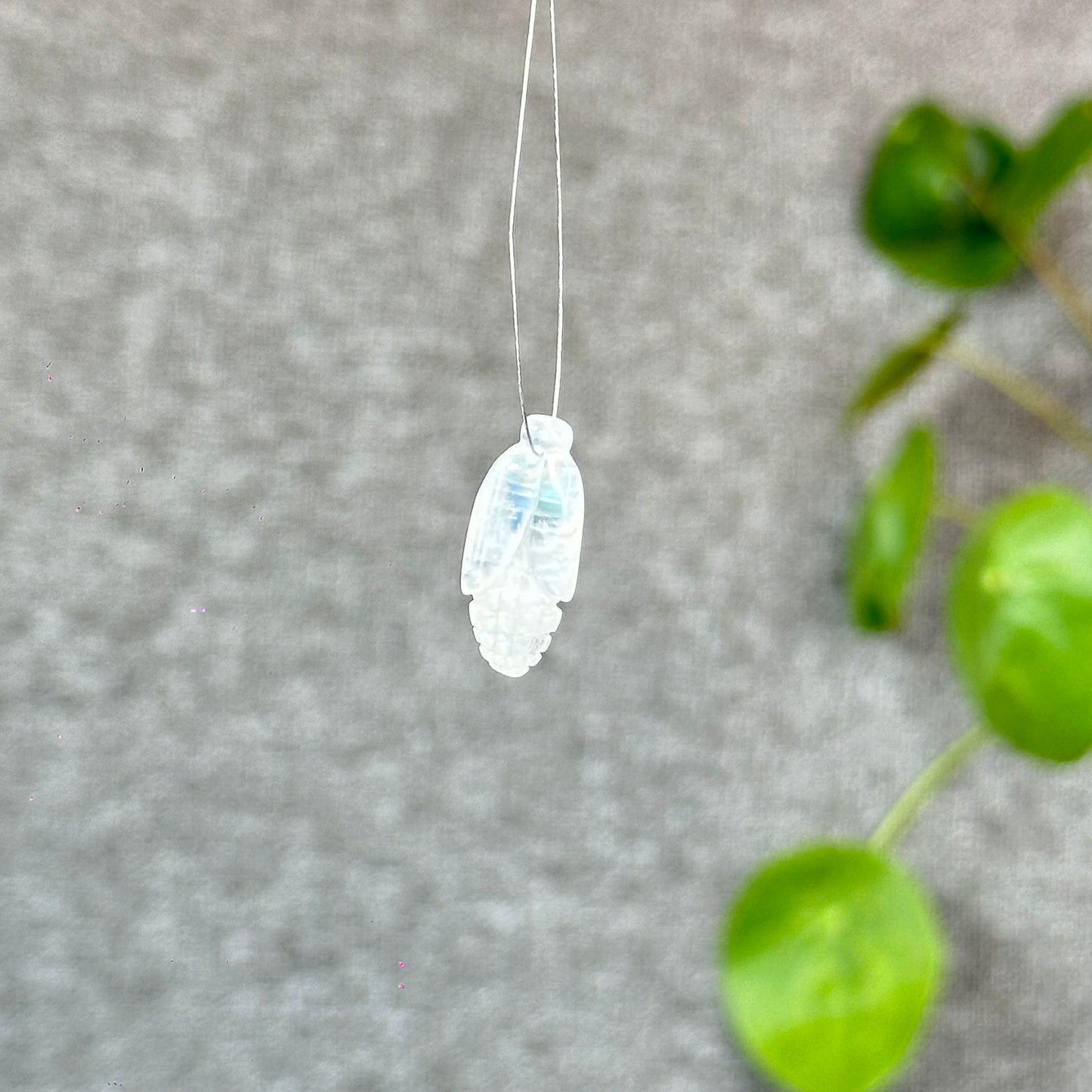 Natural Blue Moonstone Corn Charm