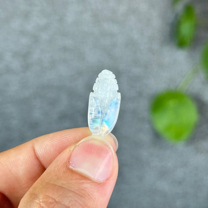 Natural Blue Moonstone Corn Charm