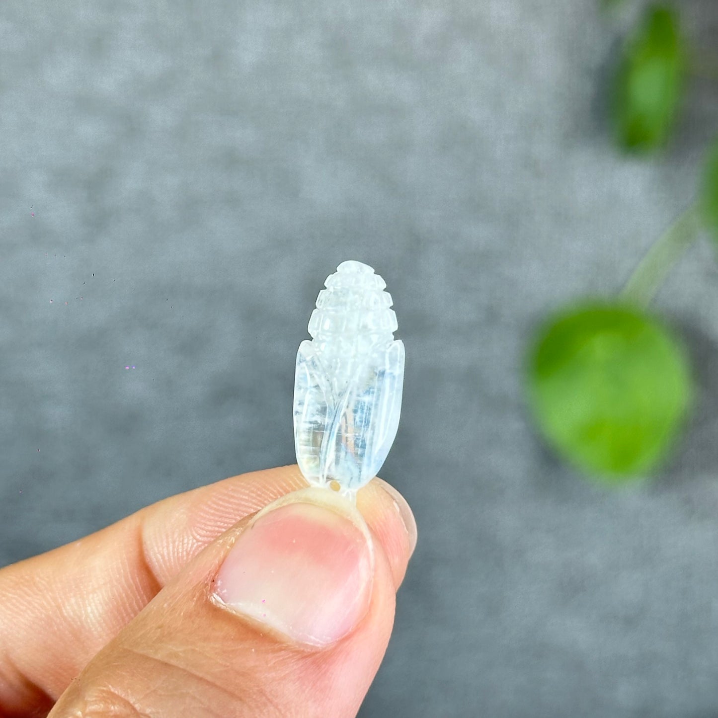 Natural Blue Moonstone Corn Charm
