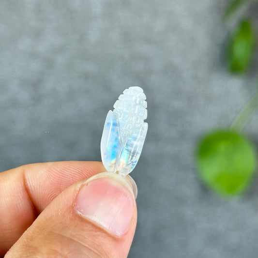 Natural Blue Moonstone Corn Charm
