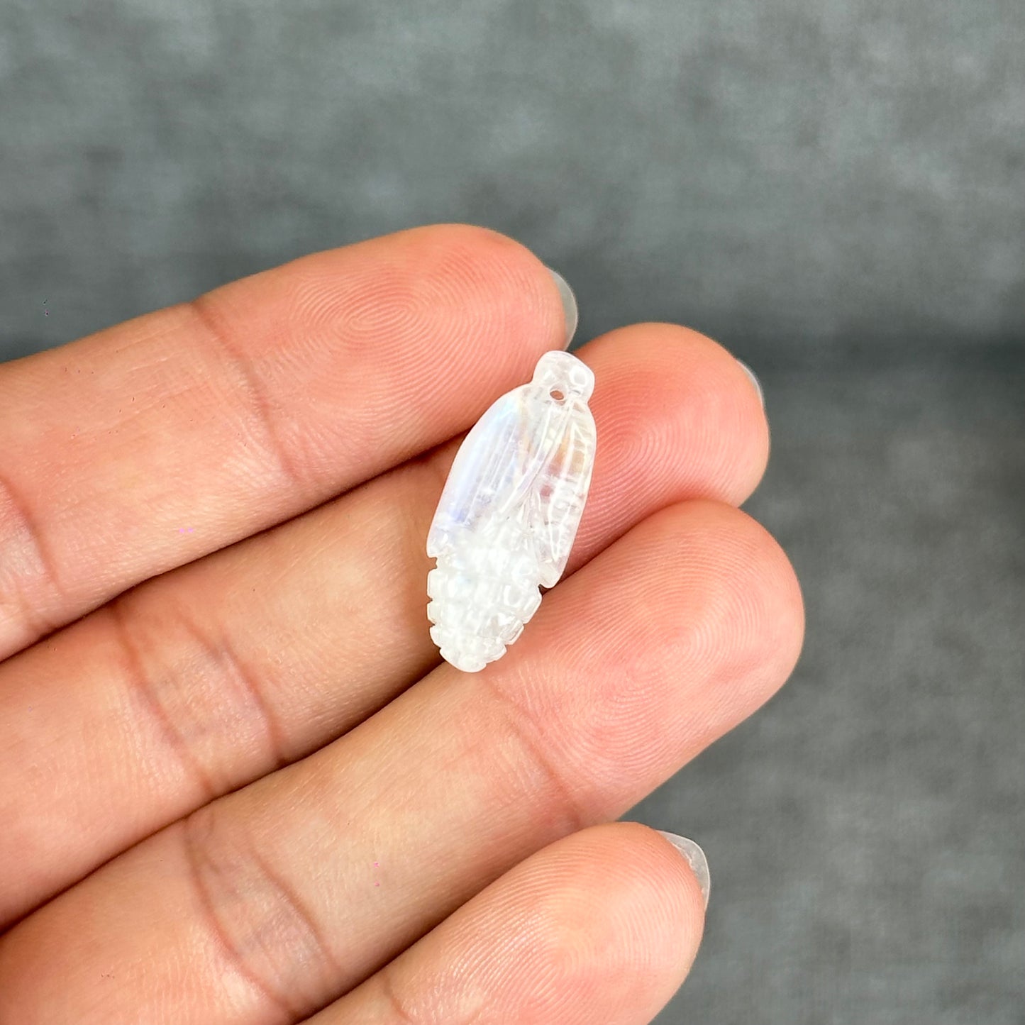 Natural Blue Moonstone Corn Charm