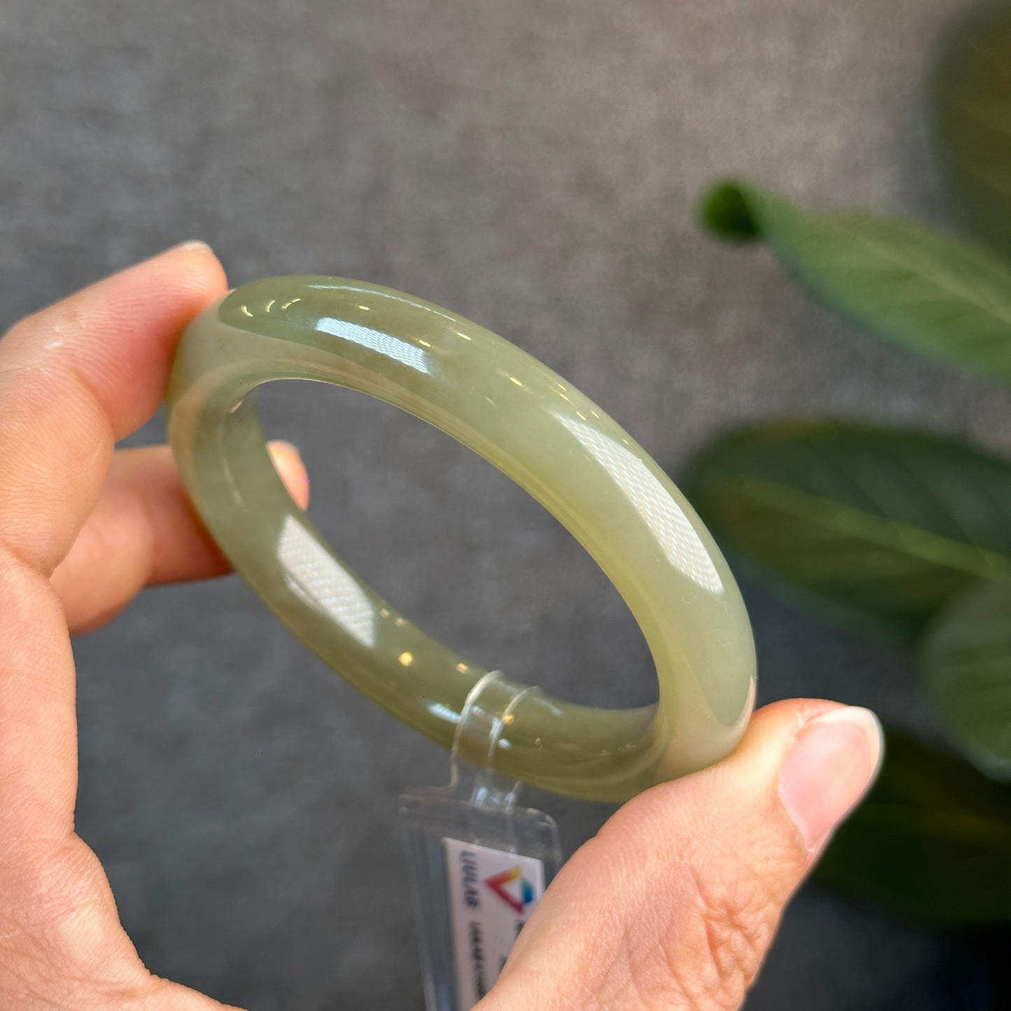 Hoa Dien Bracelet en jade néphrite naturelle Style feuille Taille 53,78 mm