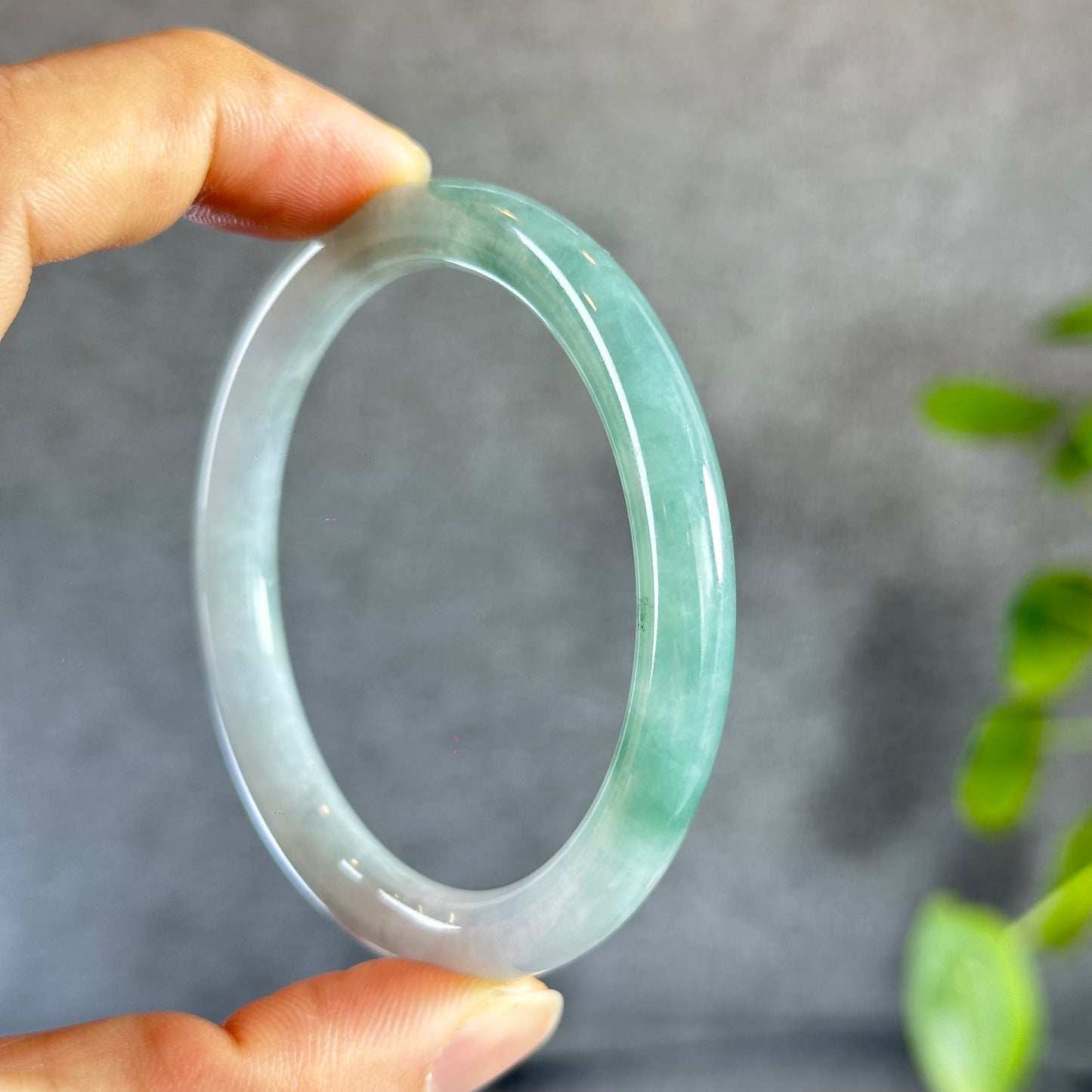 Moss Green Ivory White Natural Jadeite Jade Bangle Chopstick Style Size 55 mm
