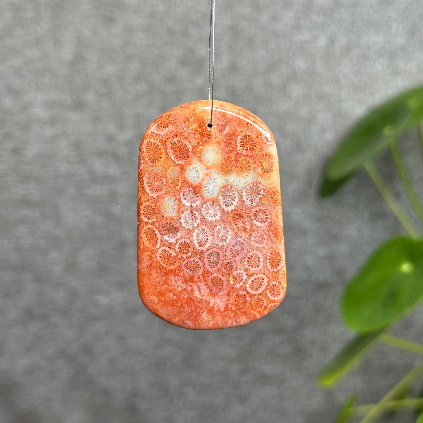 Coral Fossil Pendant