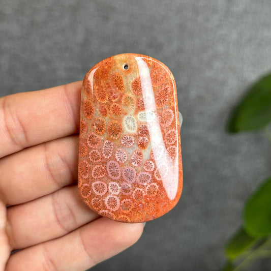 Coral Fossil Pendant