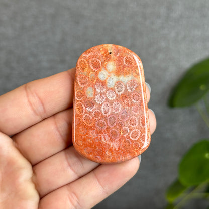 Coral Fossil Pendant