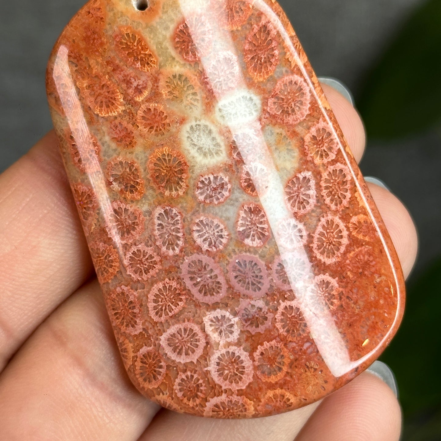 Coral Fossil Pendant