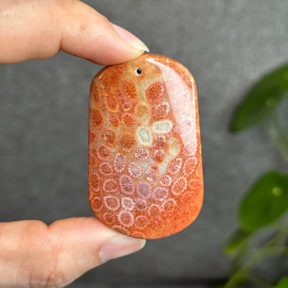 Coral Fossil Pendant