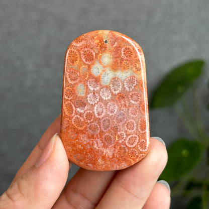 Coral Fossil Pendant