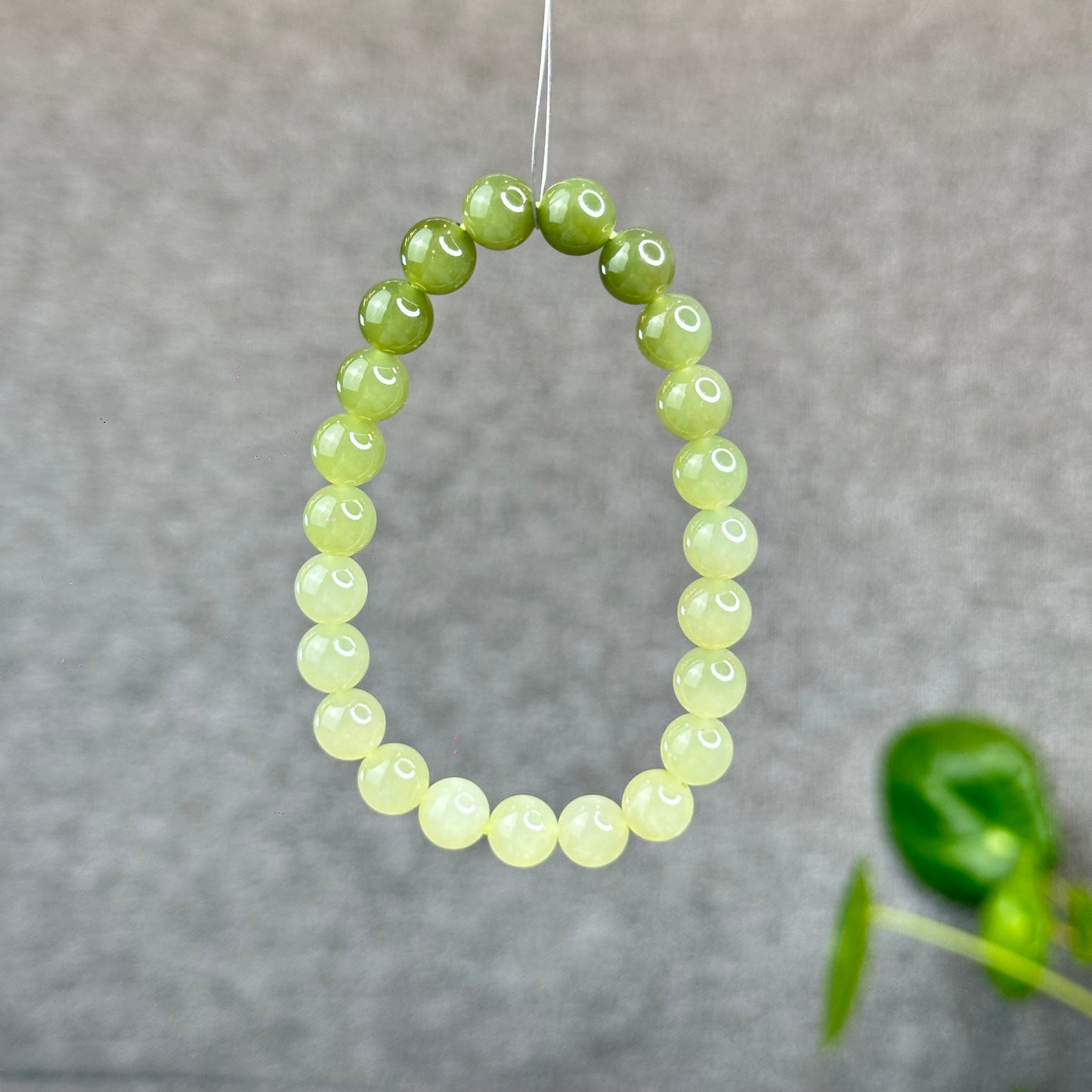 Natural Gradient Green Hetian Nephrite Jade Bracelet Size 8  mm