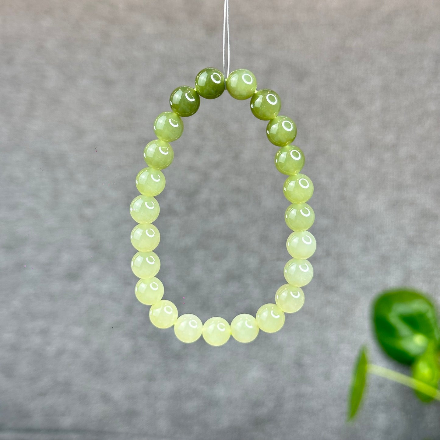 Natural Gradient Green Hetian Nephrite Jade Bracelet Size 8  mm