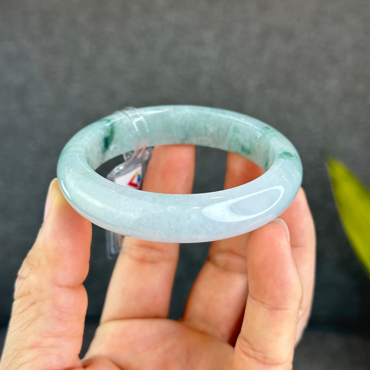 Natural Floating Floral Moss Green Semi Translucent Jadeite Jade VIP Bangle Leaf Style Size 54.8 mm