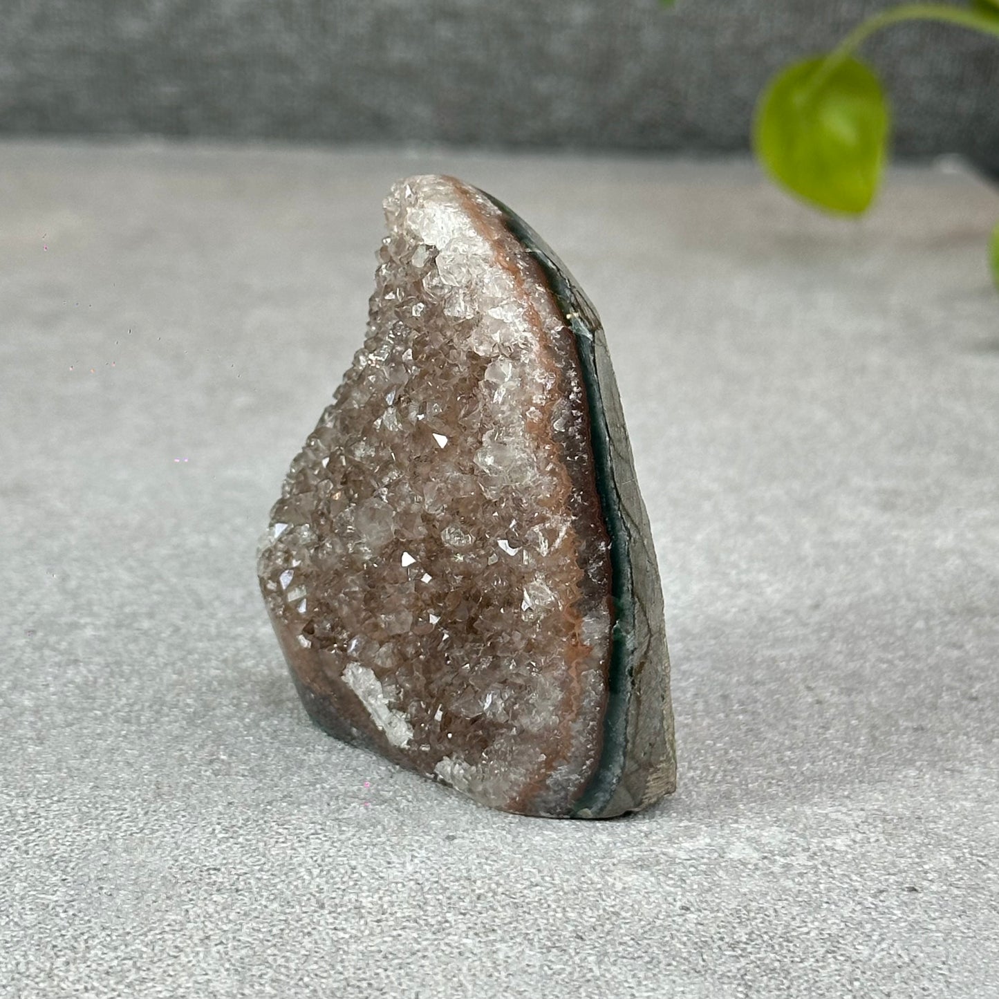 Polished Natural  Bi-Colour Amethyst Cut Base