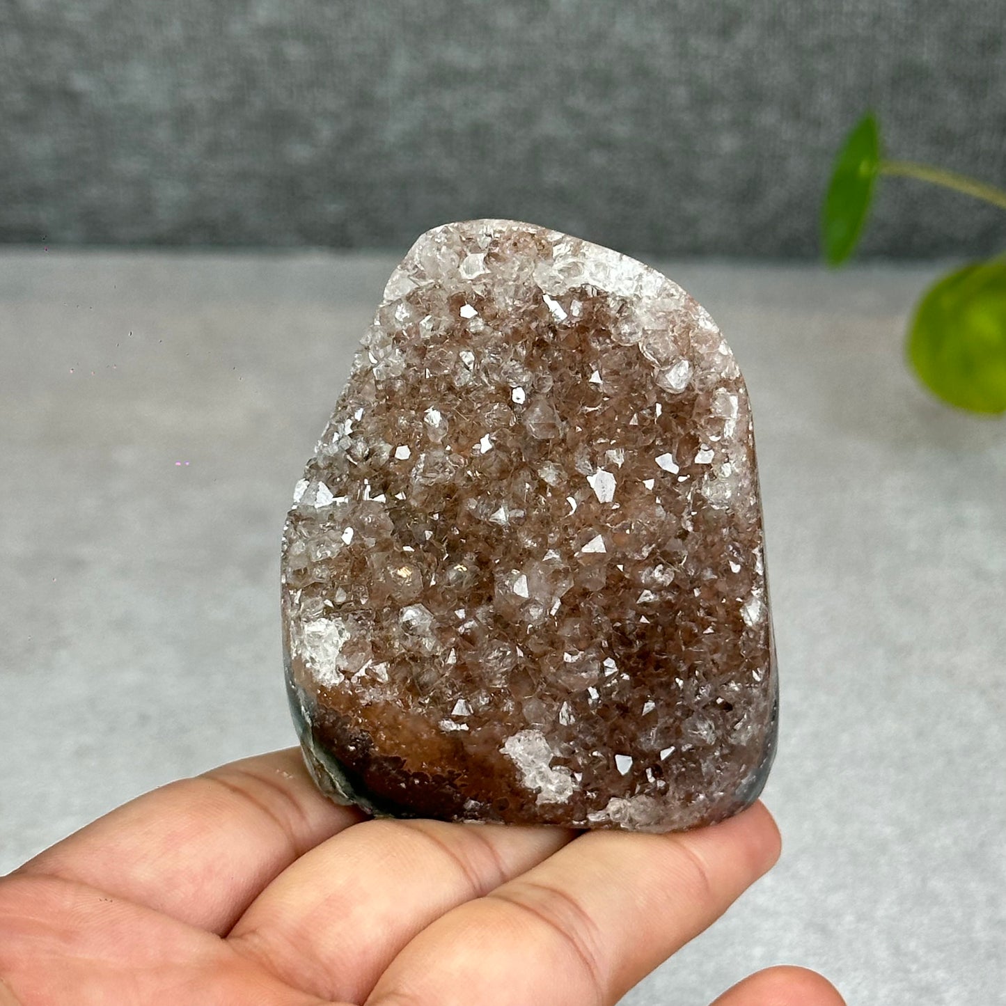 Polished Natural  Bi-Colour Amethyst Cut Base