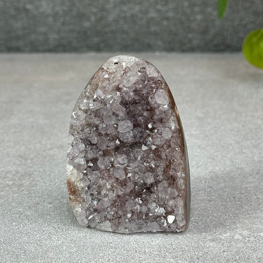 Polished Natural  Bi-Colour Amethyst Cut Base