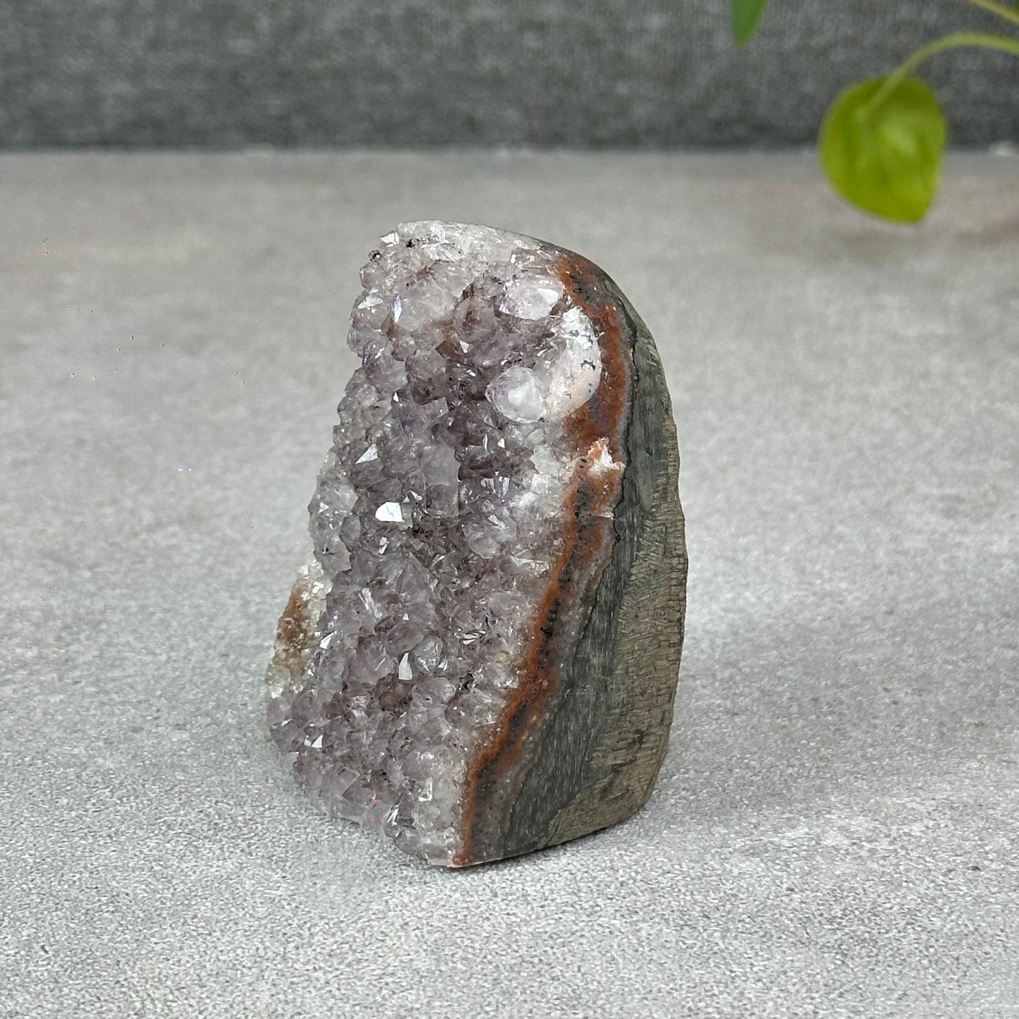 Polished Natural  Bi-Colour Amethyst Cut Base