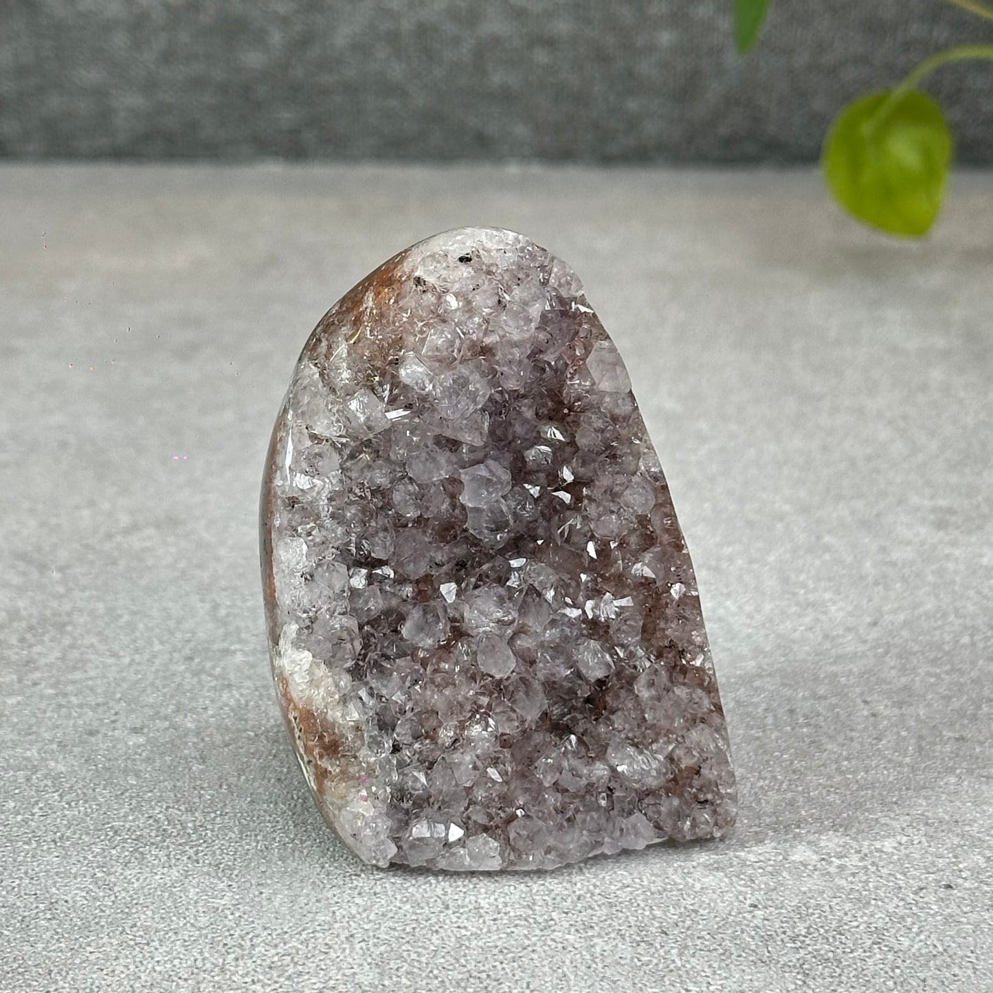 Polished Natural  Bi-Colour Amethyst Cut Base