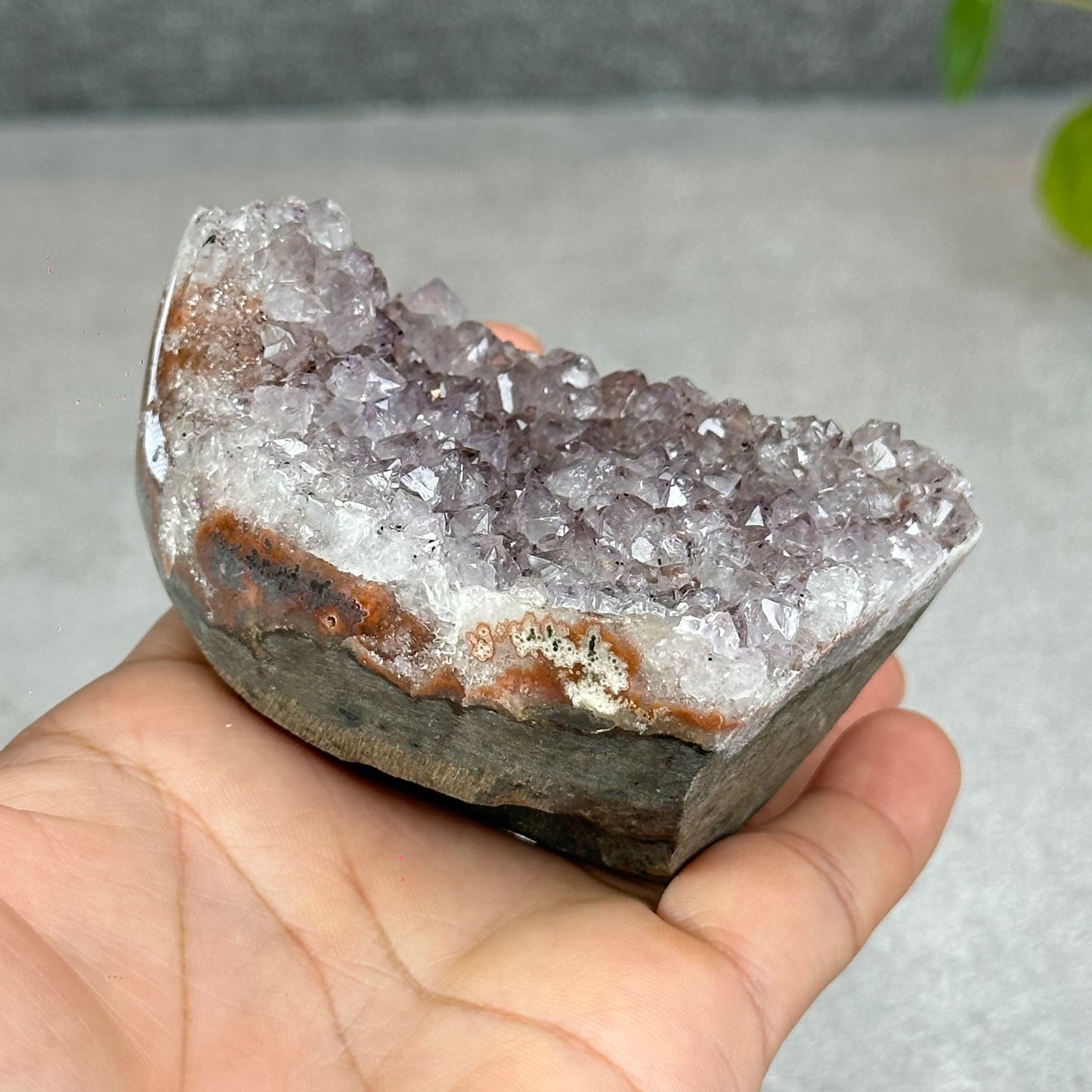 Polished Natural  Bi-Colour Amethyst Cut Base
