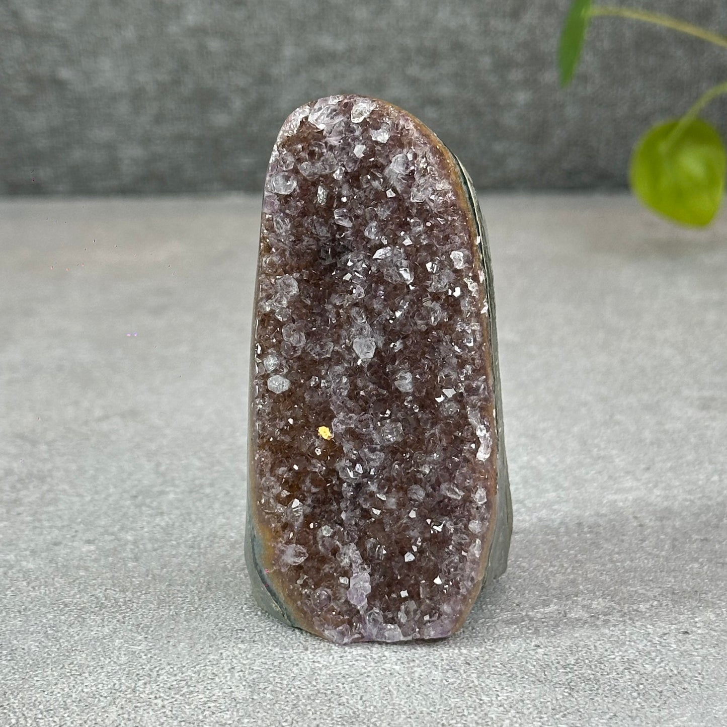Polished Natural  Bi-Colour Amethyst Cut Base