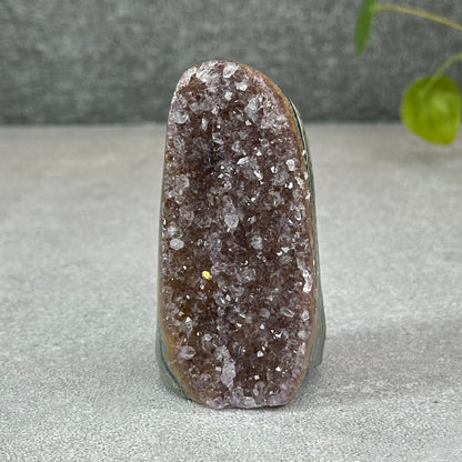 Polished Natural  Bi-Colour Amethyst Cut Base
