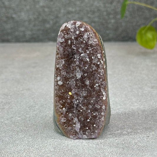 Polished Natural  Bi-Colour Amethyst Cut Base