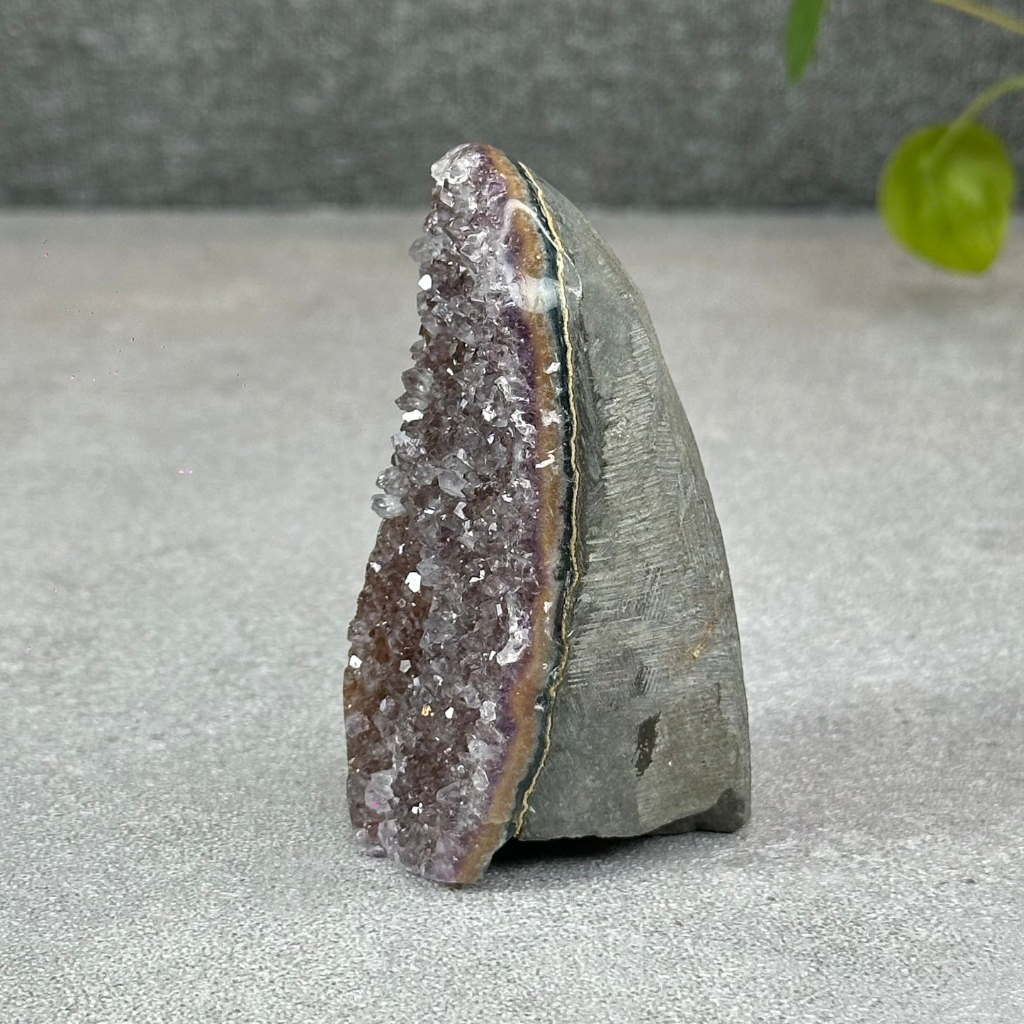 Polished Natural  Bi-Colour Amethyst Cut Base