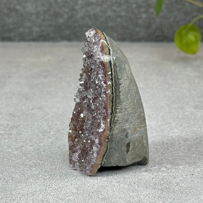 Polished Natural  Bi-Colour Amethyst Cut Base