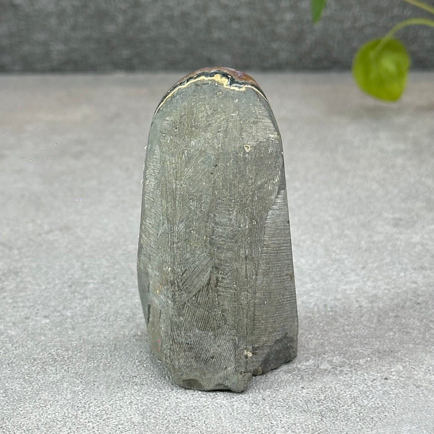 Polished Natural  Bi-Colour Amethyst Cut Base