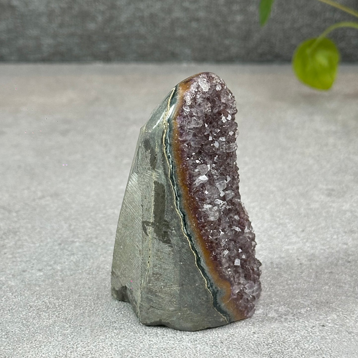 Polished Natural  Bi-Colour Amethyst Cut Base