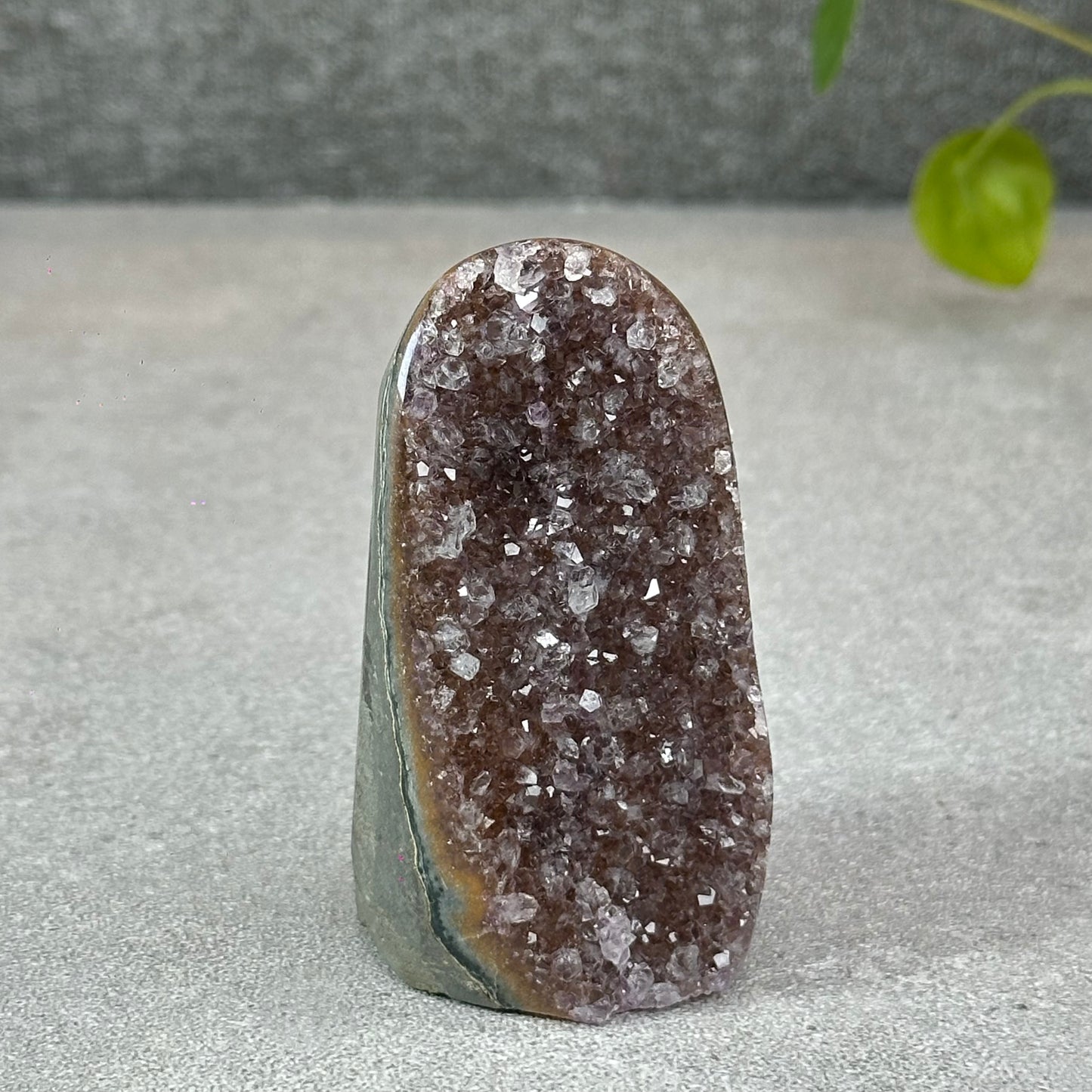 Polished Natural  Bi-Colour Amethyst Cut Base