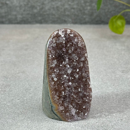 Polished Natural  Bi-Colour Amethyst Cut Base