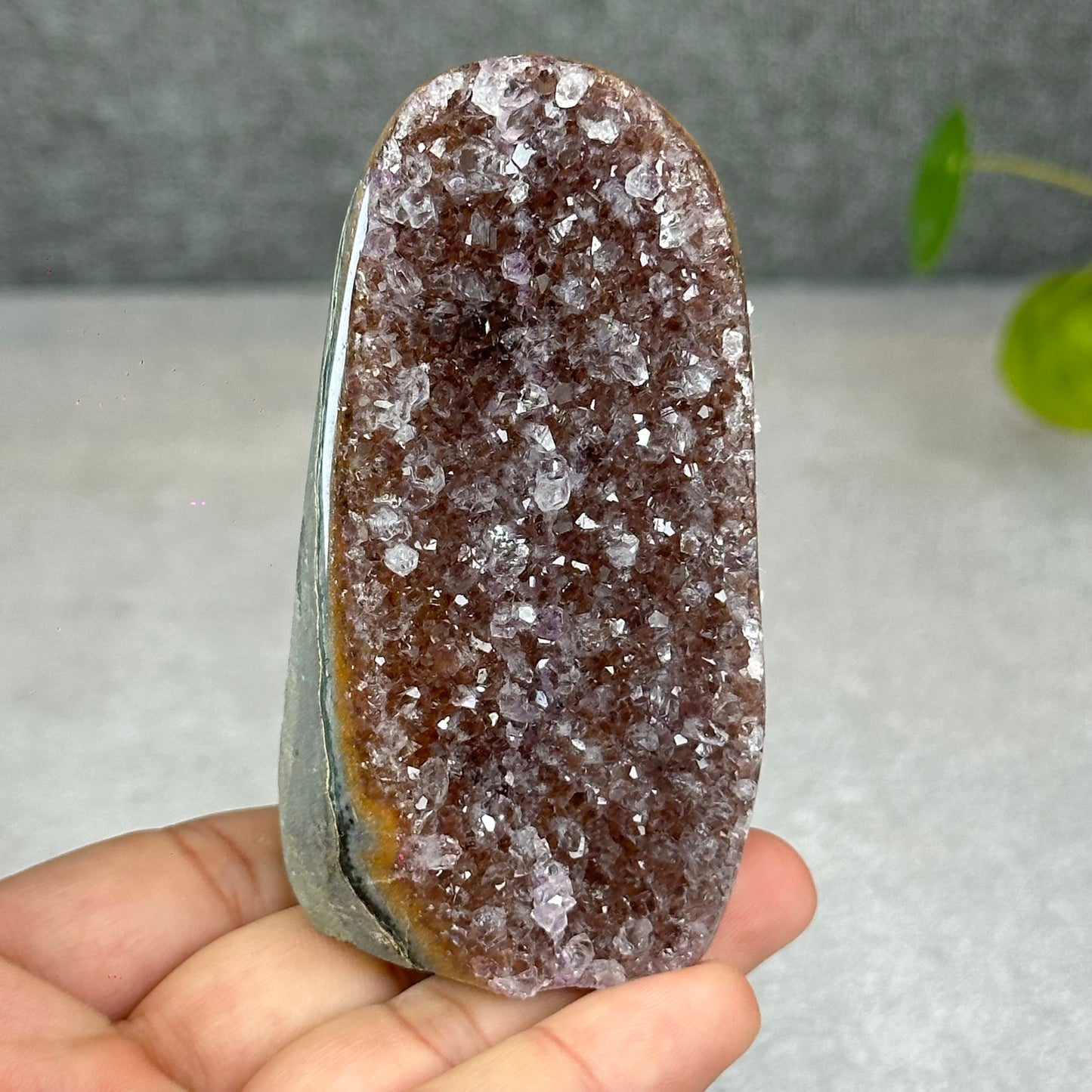 Polished Natural  Bi-Colour Amethyst Cut Base