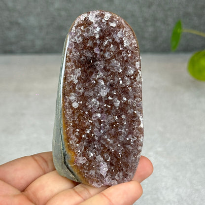 Polished Natural  Bi-Colour Amethyst Cut Base