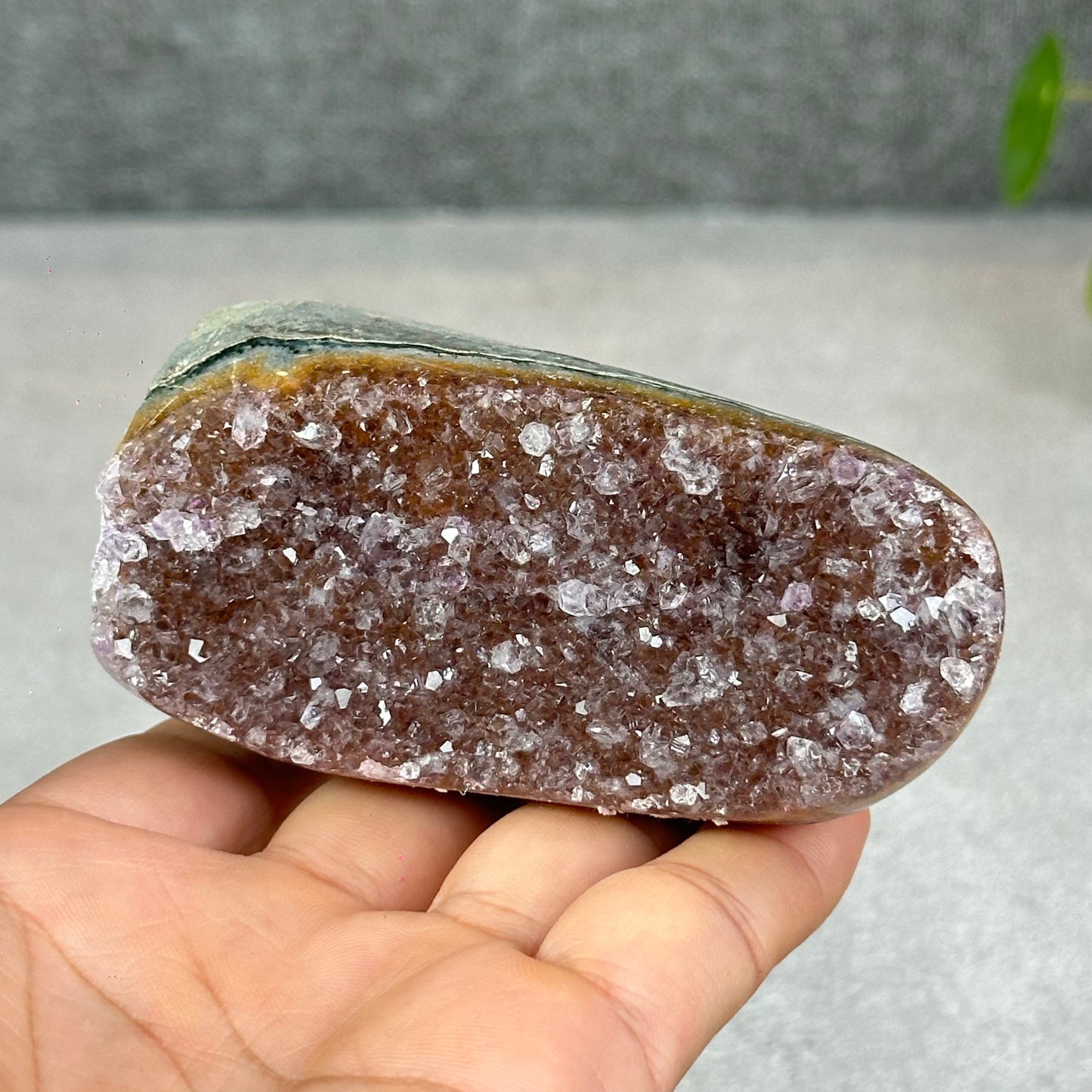 Polished Natural  Bi-Colour Amethyst Cut Base