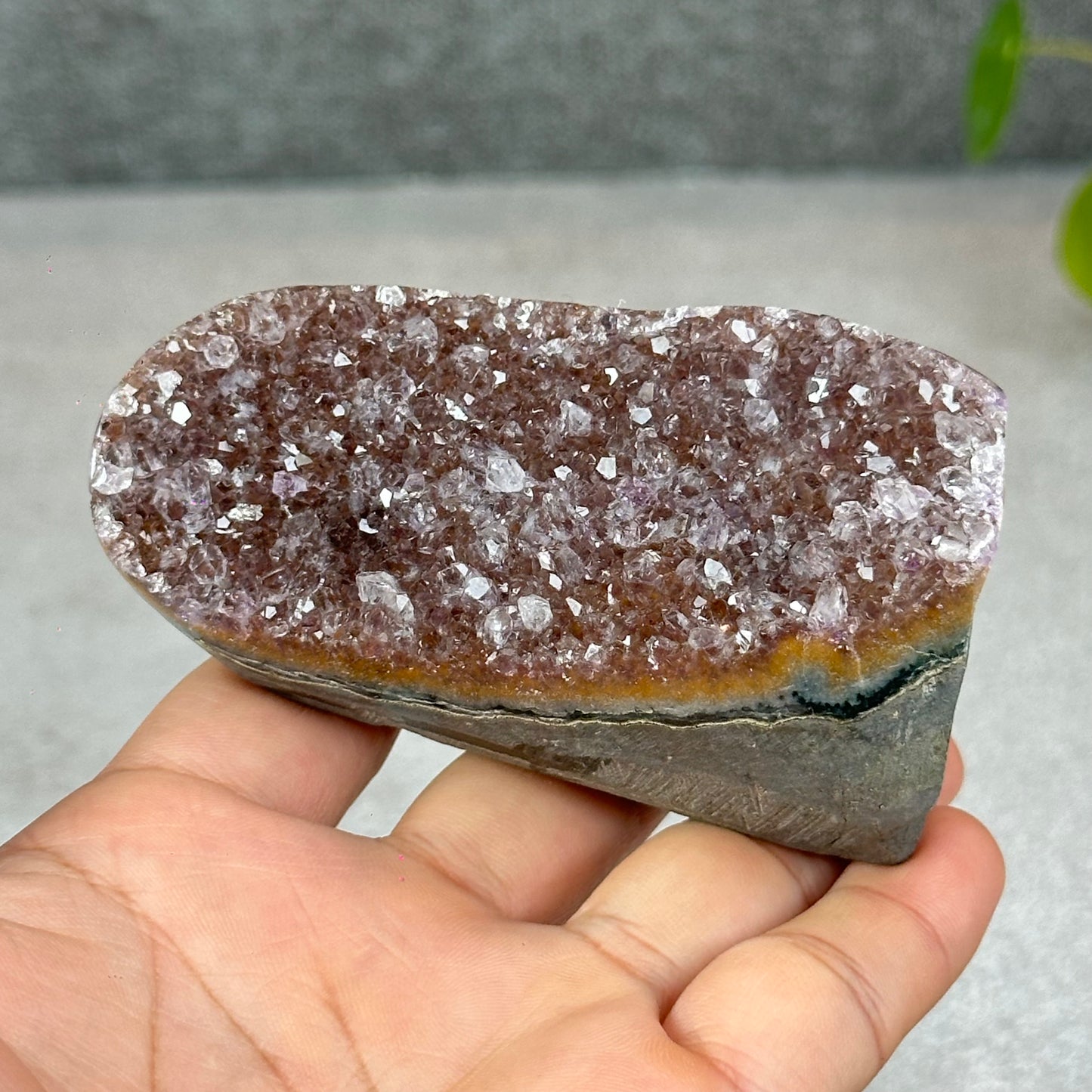 Polished Natural  Bi-Colour Amethyst Cut Base