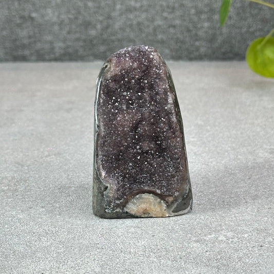Polished Natural  Bi-Colour Amethyst Cut Base