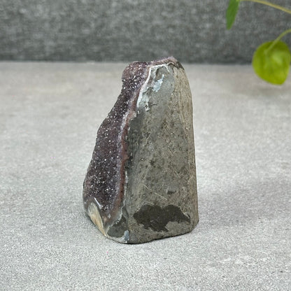 Polished Natural  Bi-Colour Amethyst Cut Base