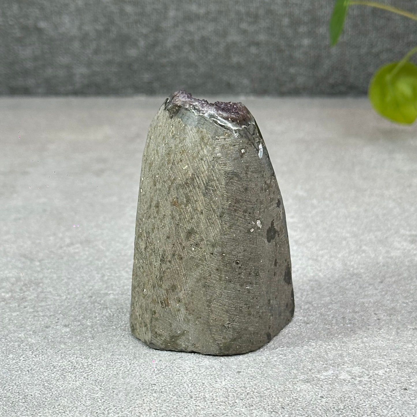 Polished Natural  Bi-Colour Amethyst Cut Base